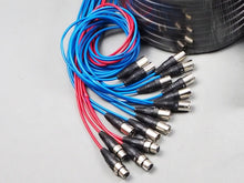 Load image into Gallery viewer, 16 Channel Stage Box Snake Cable BS01RB-1204X-30M (CB-14)