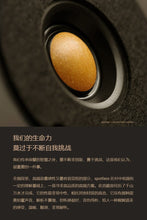 Load image into Gallery viewer, Spotless Eternal 4.2 HIFI bookshelf speaker