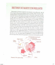 Load image into Gallery viewer, High Performance Magneto Plate & Fly Wheel Kit for 50-140cc dirt bike (4T205)