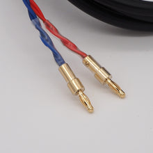Load image into Gallery viewer, Pair of Handmade Monster S16-4 XLN Speaker Cable (CB-56: 2m/ CB-58: 3m/ CB-85: 4.8m)