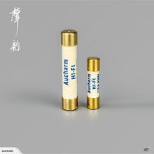 Load image into Gallery viewer, Aucharm Audio 5mm x 20mm Silver Alloy Gold plated cap Slow blow fuse (EP029)