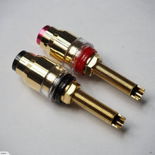 Load image into Gallery viewer, Pair of Aucharm Speaker Binding Post Pure Copper Plate (EP034)