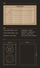 Load image into Gallery viewer, Spotless Eternal 4.2 HIFI bookshelf speaker
