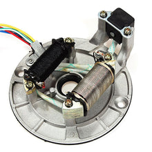 Load image into Gallery viewer, Magneto Coil Stator Plate For Dirt Bike (4T023)
