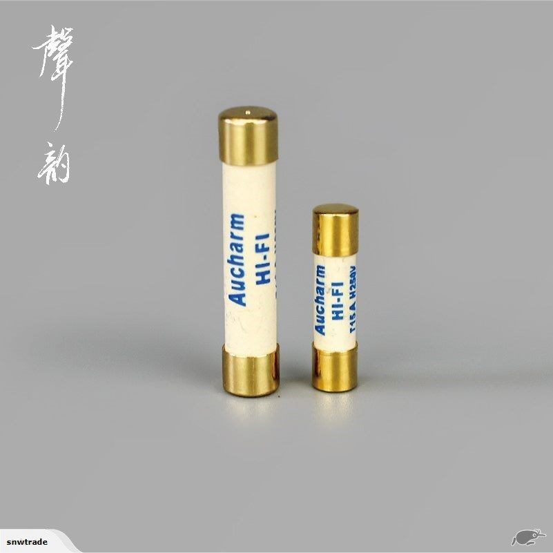 Aucharm Audio 5mm x 20mm Silver Alloy Gold plated cap Slow blow fuse (EP029)