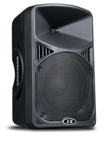 Load image into Gallery viewer, Pair of ICM SR-10L 10 inch 180W Passive Speaker
